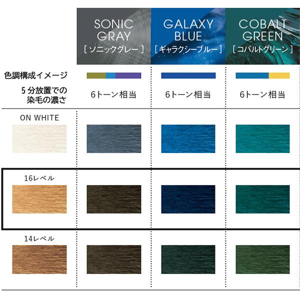 hoyu ホーユー IROJIKAKE （イロジカケ）ベージュライン アイリス 80g