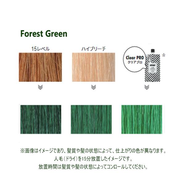ANAP カラートリートメント 150g フォレストグリーン : color story