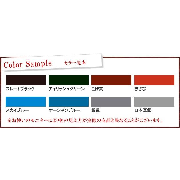 アサヒペン 水性屋根用遮熱塗料 日本瓦銀（全8色） [5L] : カラー