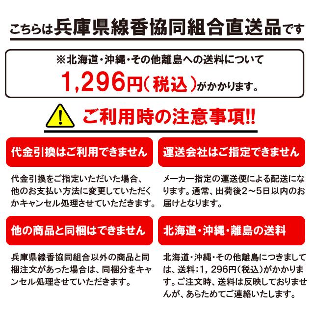 淡路島のお香 武士伝 103 - 裕次郎（有煙） [14本入り] お線香 線香 国産 アロマ リラクゼーション Incense aroma 【代引不可】 |  | 02