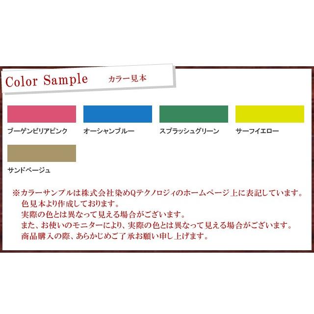 染めQエアゾール 海 UMIシリーズ 264ml テロソン 染めQ エアゾール