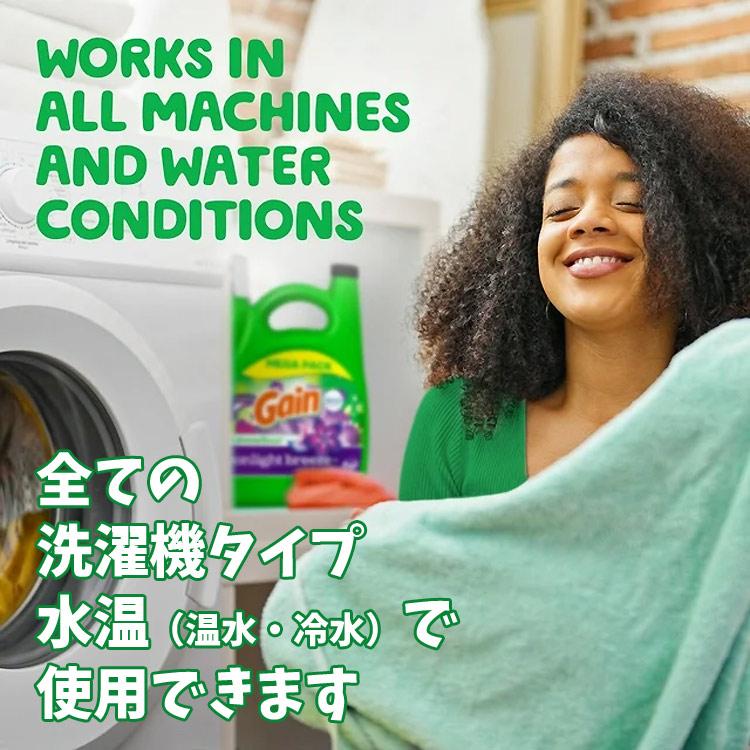 洗濯洗剤 正規輸入品 ゲイン ムーンライトブリーズ 1.36L 1360ml 46oz 32回分 Gain  液体  P&amp;G アメ | ブランド登録なし | 04
