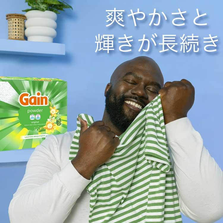 洗濯洗剤 衣類用洗剤 Gain ゲイン 洗濯洗剤 粉末 オリジナル 2.34kg 82oz 89回分 アメリカ製 粉洗剤 輸入 正 | ゲイン | 02