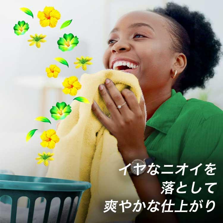 洗濯洗剤 衣類用洗剤 Gain ゲイン 洗濯洗剤 粉末 オリジナル 3.49kg 123oz 133回分 アメリカ製 粉洗剤 輸入 | ゲイン | 02