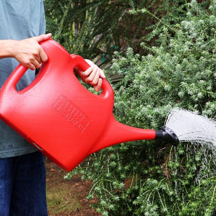 市場 Kiboni ミニジョウロ Rain 観葉植物 水まき 水やり ガーデニング ジョウロ Little 散水 ジョーロ 水撒き おしゃれ 植物 ウォーターポット グリーン かわいい Gr