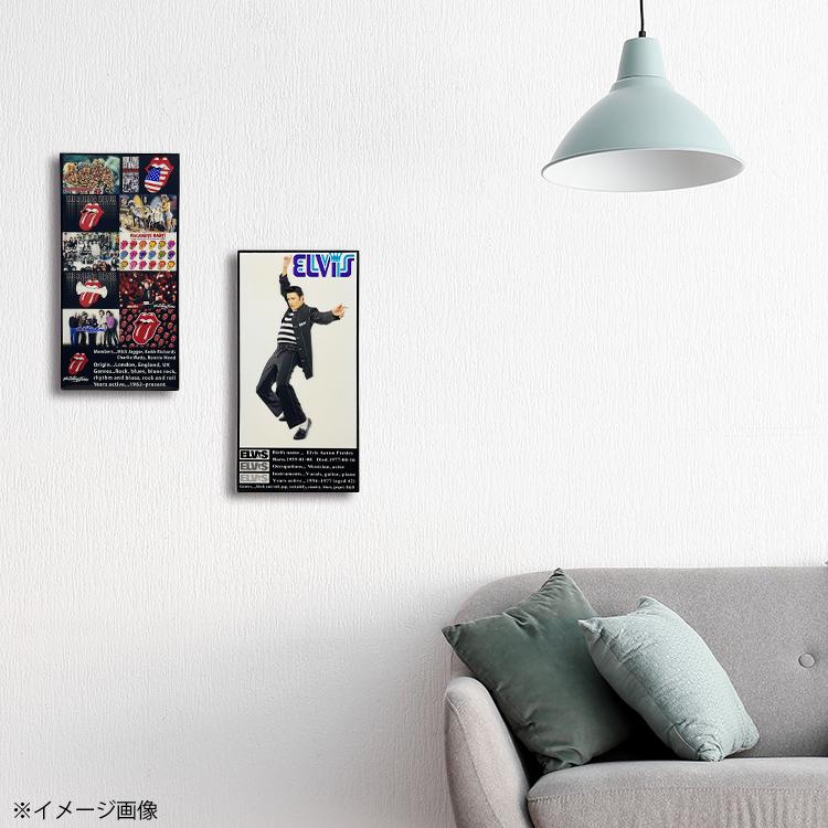 アートフレーム ロックフレーム エルビス プレスリー #2 縦30.5×横15.5