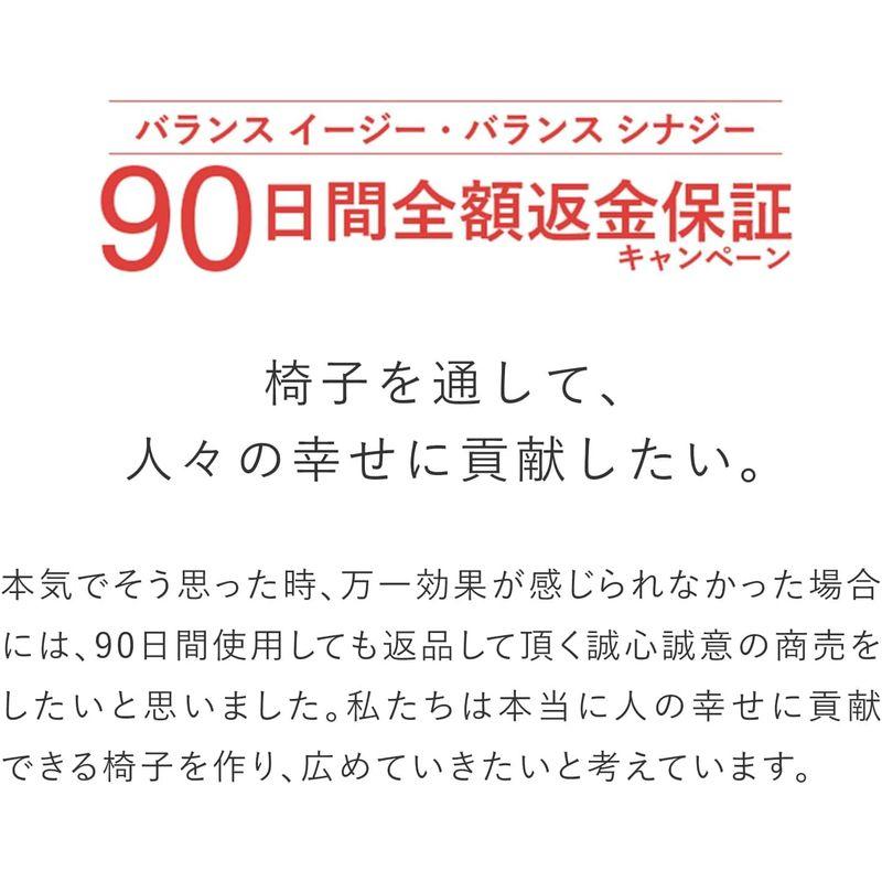 バランスチェア イージー ネイビー バランスラボ(旧サカモトハウス