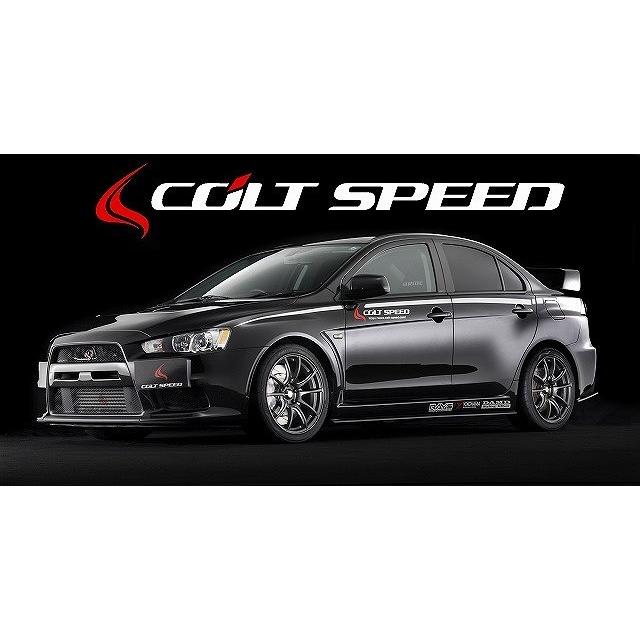 MITSUBISHI ランサーエボリューションX(CZ4A) 対応 NGK