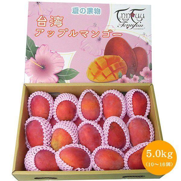 台湾産 アップルマンゴー 詰め合わせ アップルマンゴー 台湾産 5.0kg（10-16玉入）【6月中旬以降〜7月中旬