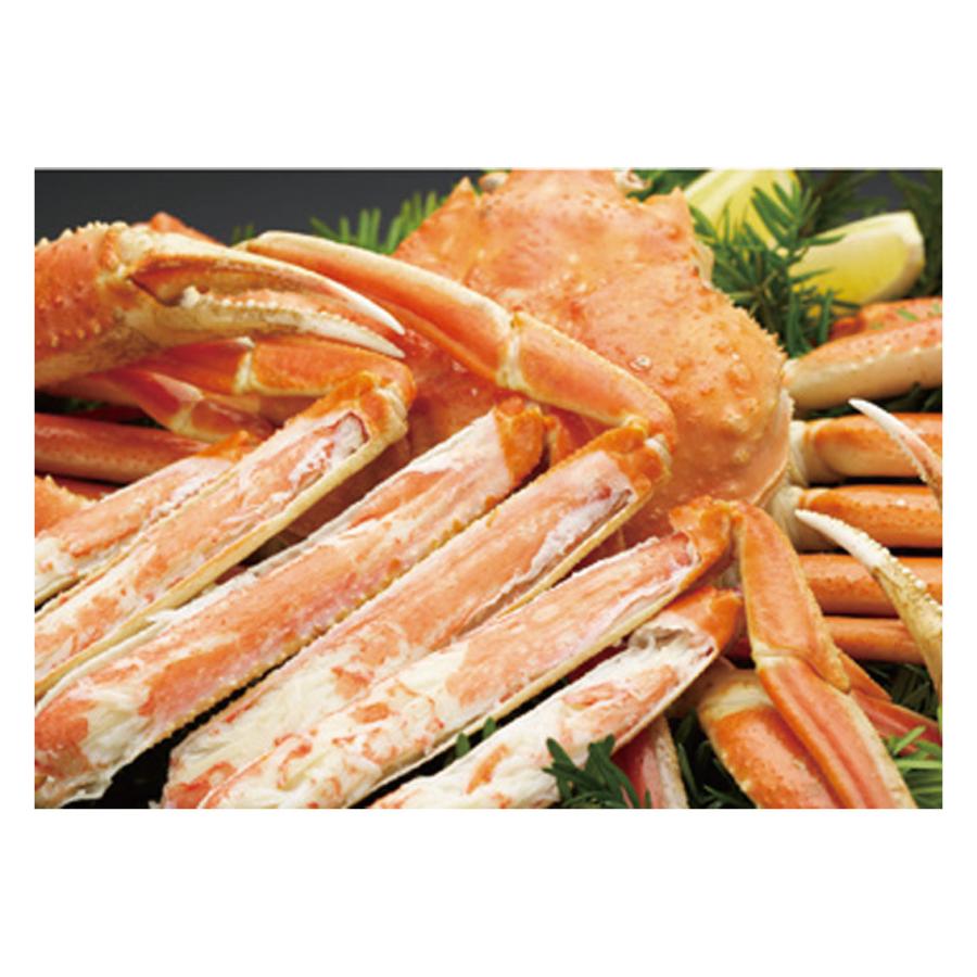 ボイルずわいがに姿３尾(50) | 