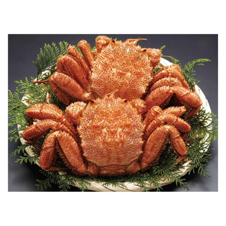 北海道産ボイル毛がに 2尾800g | 