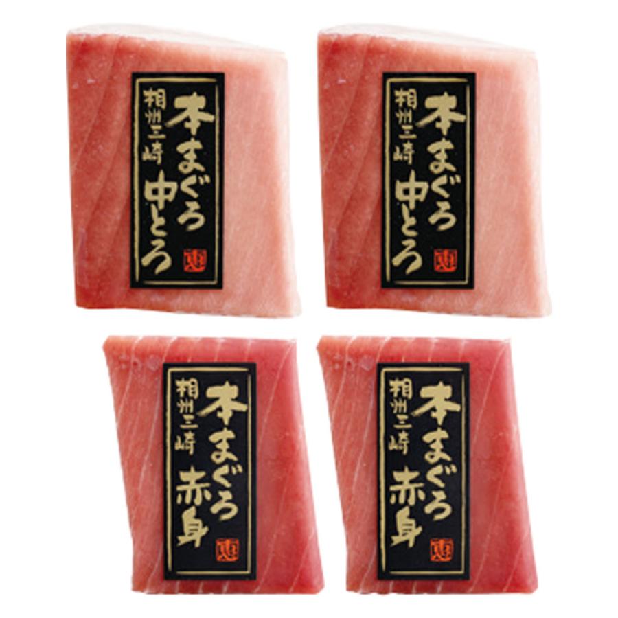 神奈川  三浦三崎  本まぐろの詰合せ | 