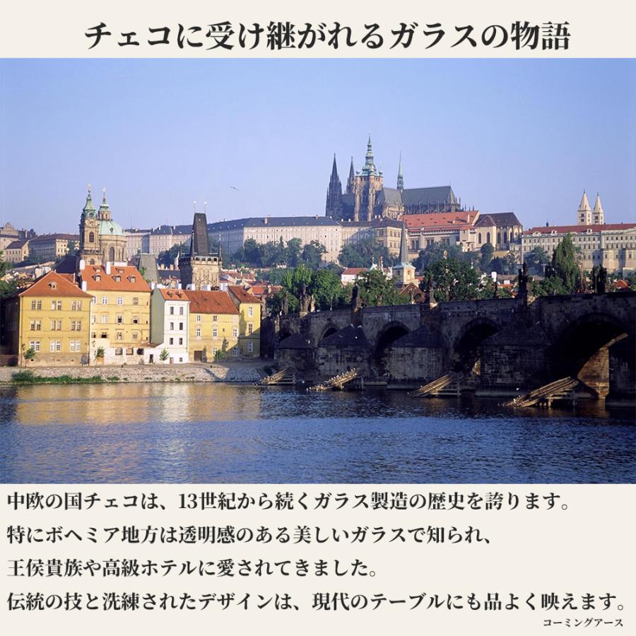 ボヘミアングラス クリスタレックス VIOLA フルート型シャンパングラス