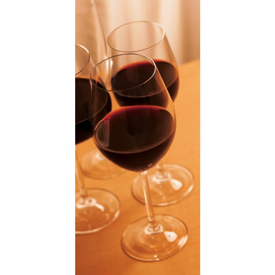 ボヘミア クリスタレックス ハーモニー ワイングラス レッドワイン 6