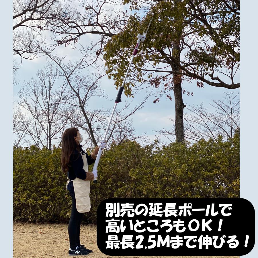 ヘッジトリマー 高枝切りバサミ 充電式 電動 高所 草刈り 草刈り機