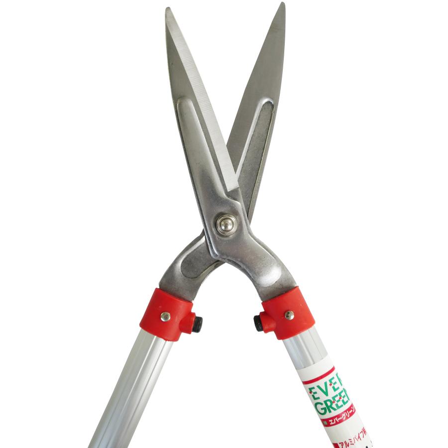 DAISHIN（大進） ステンレス 軽量 刈込鋏 アルミパイプ柄 165mm 剪定鋏