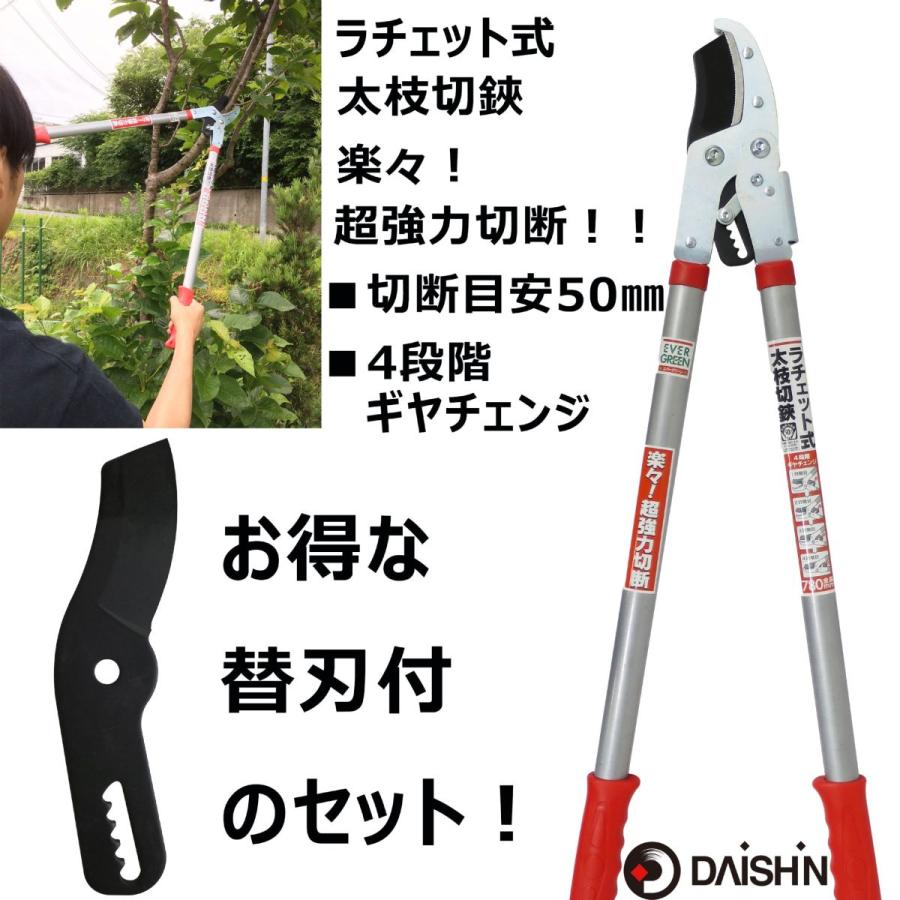 激安正規 たちかるくん たち刈る君 大進 6月18 草刈り 園芸 刈 激安正規 たちかるくん たち刈る君 大進 6月18 草刈り 園芸 刈