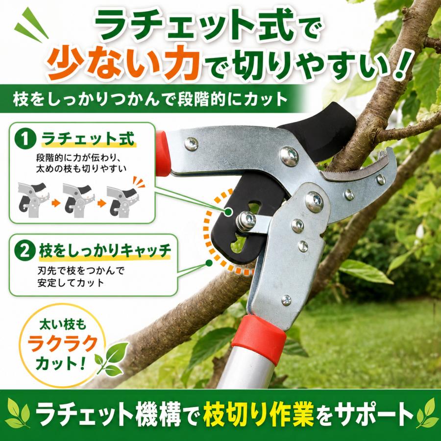 大進 ラチェット式 太枝切鋏 50mm 替刃式 ふと枝切り鋏 剪定ばさみ 剪定鋏 枝きりはさみ 太い枝 太枝切りバサミ  太枝切りはさみ 太枝切り 太枝鋏 | DAISHIN | 06