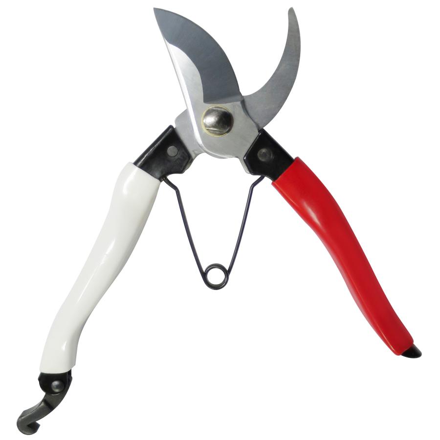 DAISHIN（大進） 紅白剪定鋏 200MM 園芸用はさみ、果樹 庭木の剪定