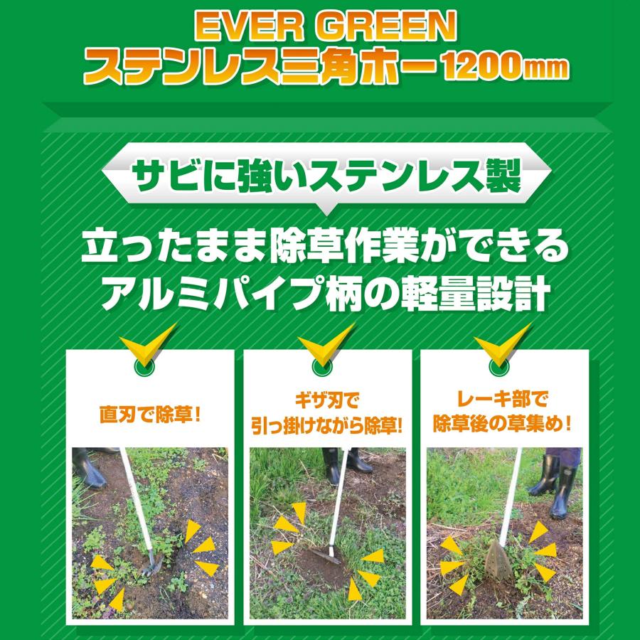 DAISHIN（大進） 三角ホー レーキ付 アルミ柄 ステンレス 立ったまま