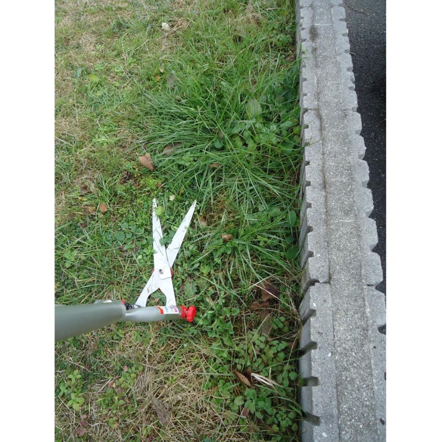 送料無料 大進 たち刈る君 1号 TK−1 草刈り 軽量 たちかるくん 刈払い機 草刈り機 手動 立ち鎌 除草 雑草 草刈り 草刈機 道具 安全 鎌 ハサミ 立ったまま :4939736502969:comcon株式会社 - 通販 - Yahoo!ショッピング 送料無料 大進 たち刈る君 1号 TK−1 草刈り 軽量 たちかるくん 刈払い機 草刈り機 手動 立ち鎌 除草 雑草 草刈り 草刈機 道具 安全 鎌 ハサミ 立ったまま :4939736502969:comcon株式会社 - 通販 - Yahoo!ショッピング