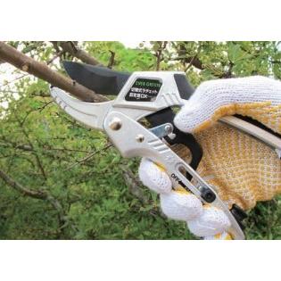 DAISHIN（大進） 切替式 ラチェット 剪定鋏 DX 太い枝 枝きりはさみ
