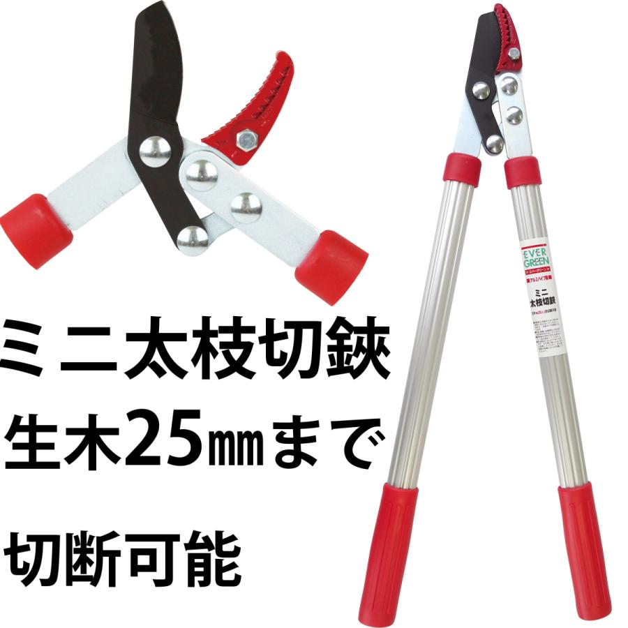 大進 ミニ 太枝切鋏 アルミパイプ柄 剪定鋏 剪定ばさみ 枝きりはさみ 太い枝 プロ用 刈り込みばさみ 刈込鋏 ふと枝切り鋏 軽量 軽い 刈り込み ハサミ 刈り込み鋏（Yahoo!・comcon株式会社）