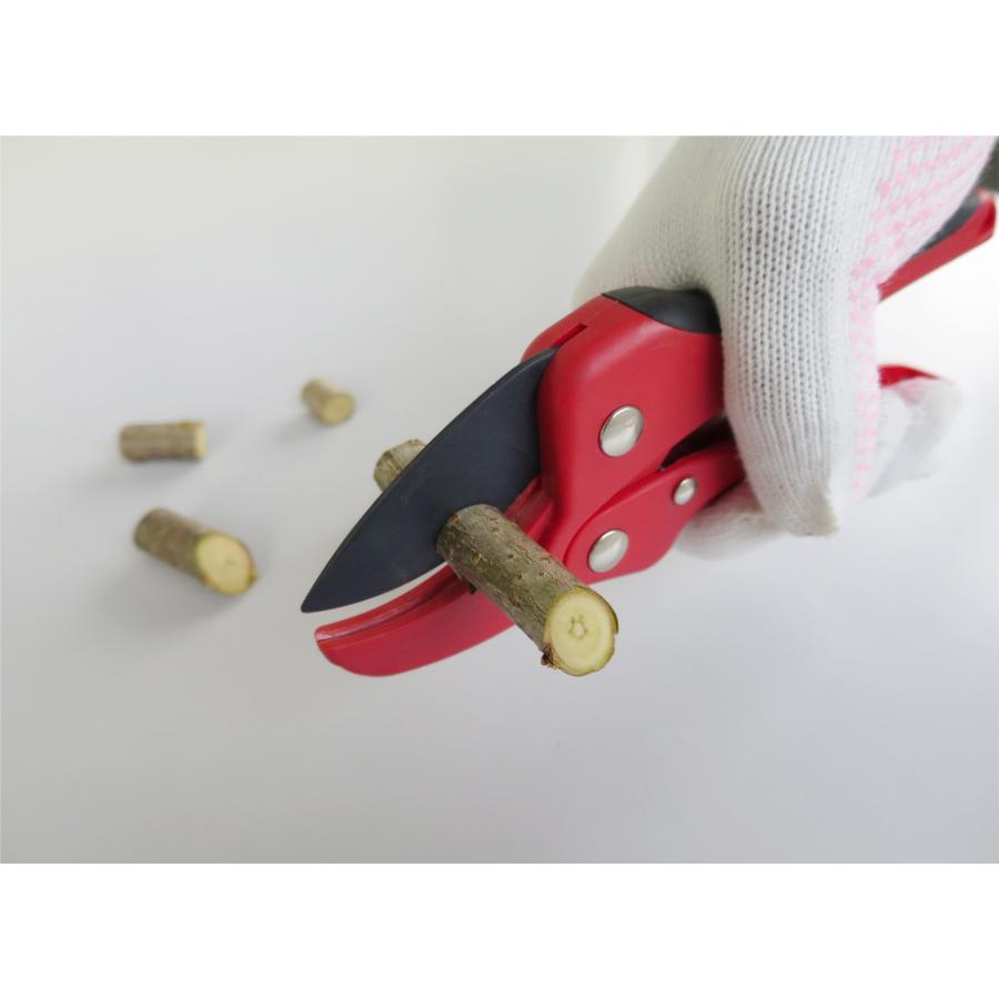 DAISHIN（大進） 軽量 ラチェット 剪定鋏 太い枝 園芸 ガーデニング