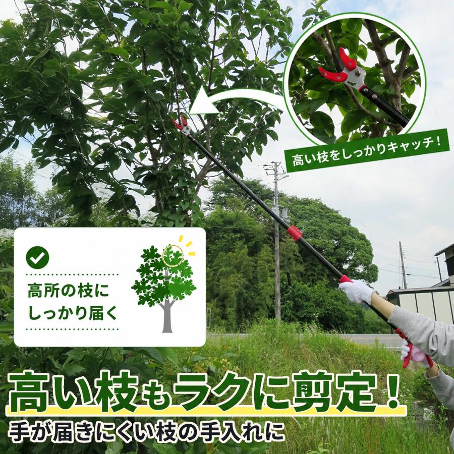高枝切りバサミ 最長92から142ｃｍ 剪定鋏 剪定ばさみ 枝きりはさみ 高枝切鋏 高枝切り鋏  高枝きりばさみ 超軽量 軽量 伸縮 鋏 手軽 庭木 高枝切り 大進 | DAISHIN | 10