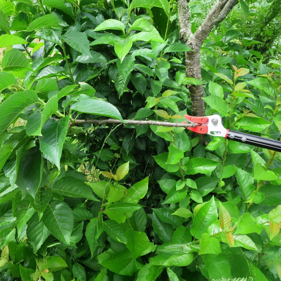 高枝切りバサミ 最長92から142ｃｍ 剪定鋏 剪定ばさみ 枝きりはさみ 高枝切鋏 高枝切り鋏  高枝きりばさみ 超軽量 軽量 伸縮 鋏 手軽 庭木 高枝切り 大進 | DAISHIN | 06