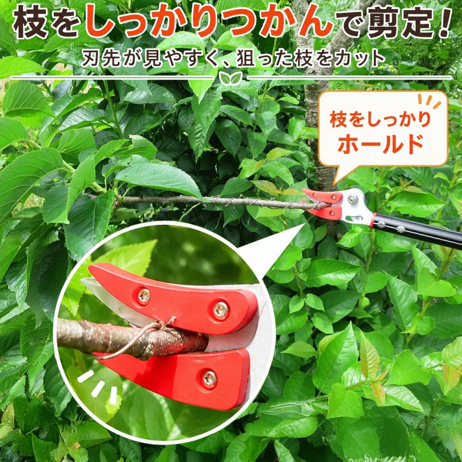 高枝切りバサミ 最長92から142ｃｍ 剪定鋏 剪定ばさみ 枝きりはさみ 高枝切鋏 高枝切り鋏  高枝きりばさみ 超軽量 軽量 伸縮 鋏 手軽 庭木 高枝切り 大進 | DAISHIN | 11