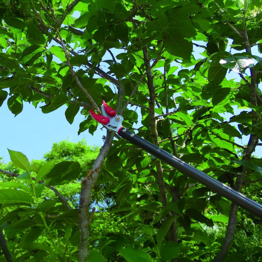 高枝切りバサミ 最長92から142ｃｍ 剪定鋏 剪定ばさみ 枝きりはさみ 高枝切鋏 高枝切り鋏  高枝きりばさみ 超軽量 軽量 伸縮 鋏 手軽 庭木 高枝切り 大進 | DAISHIN | 07
