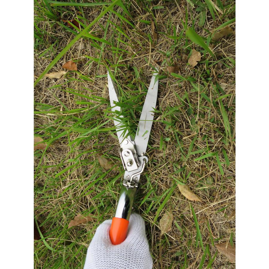大進 回転式 芝生鋏 ステンレス 園芸 ガーデニング 庭 農作業 家庭菜園 用具 工具 シバ しば 芝 剪定鋏 芝刈り機 手動 キワ刈り 芝生 | DAISHIN | 04