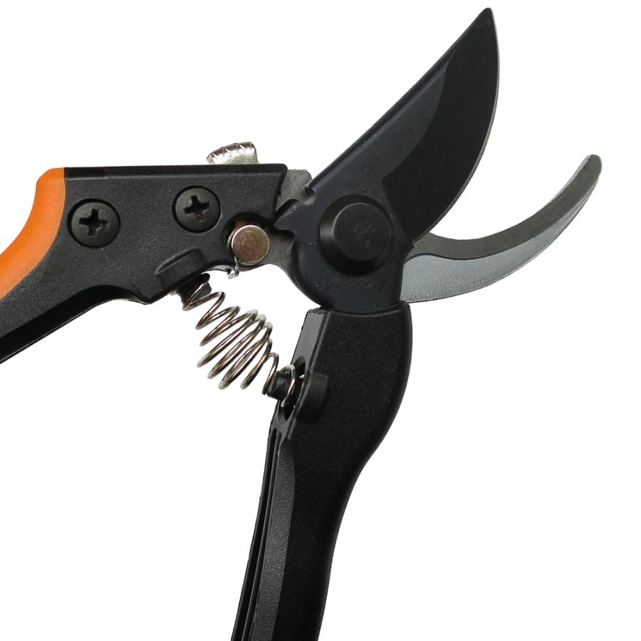 大進 グラスファイバー柄 DS-DF001 剪定鋏 剪定ばさみ 剪定はさみふと枝切り鋏 枝切りばさみ 枝切鋏 軽量 頑丈 PRO用 庭木 芽切り 枝切り 生花 盆栽 果樹 | DAISHIN | 03