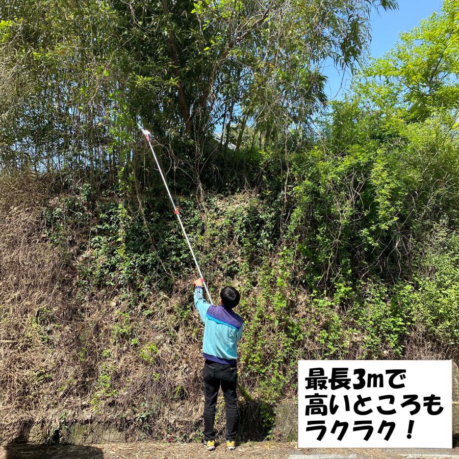 大進 高枝切りバサミ 3m 枝きりばさみ 枝きりはさみ 高枝切狭 高枝り切鋏 剪定ばさみ 太い枝 剪定鋏 軽量 軽い 大進 イージーカット たかえだきりばさみ | DAISHIN | 02