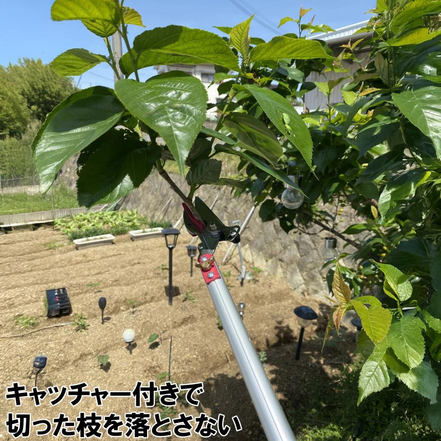 大進 高枝切りバサミ 3m 枝きりばさみ 枝きりはさみ 高枝切狭 高枝り切鋏 剪定ばさみ 太い枝 剪定鋏 軽量 軽い 大進 イージーカット たかえだきりばさみ | DAISHIN | 04