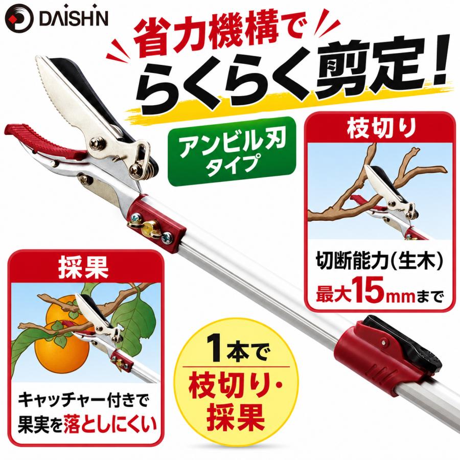 大進 高枝切りバサミ 3m 枝きりばさみ 枝きりはさみ 高枝切狭 高枝り切鋏 剪定ばさみ 太い枝 剪定鋏 軽量 軽い 大進 イージーカット たかえだきりばさみ | DAISHIN | 06