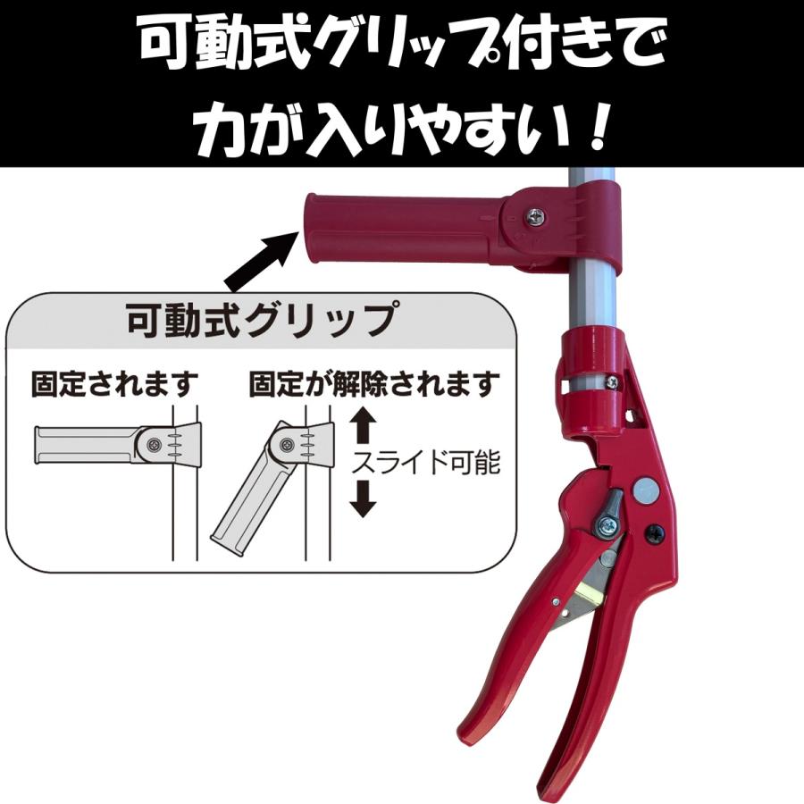 高枝切りバサミ 3m 枝きりばさみ 枝きりはさみ 高枝切狭 高枝り切鋏 剪定ばさみ 太い枝 剪定鋏 軽量 軽い 大進 イージーカット 柿 カキ｜comcon｜11