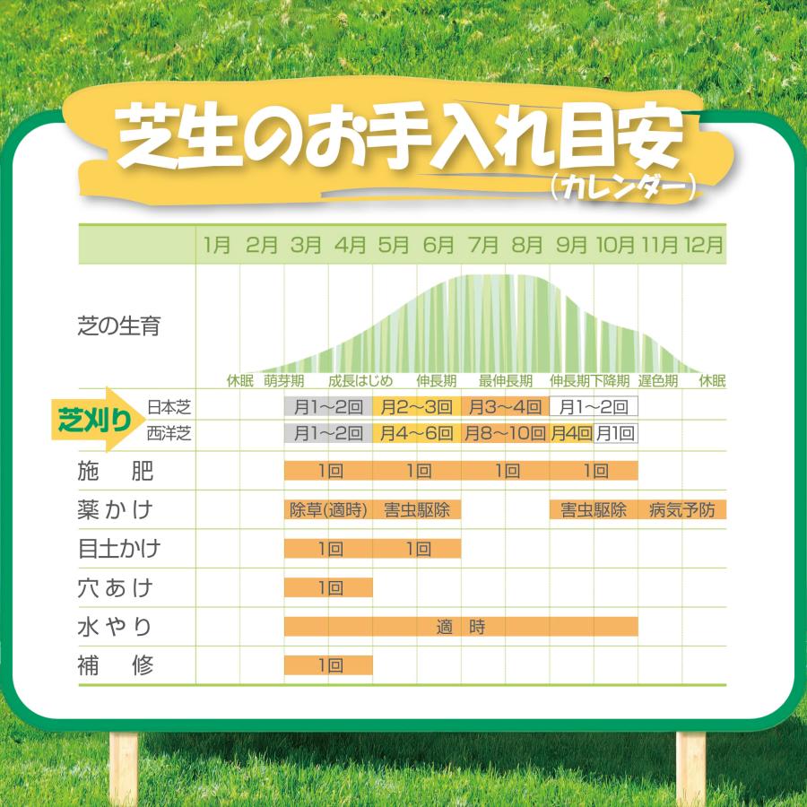芝刈り機 手動 小型 芝刈機 刃調整手動式 手押し式 家庭用 芝生 コンパクト 刈込幅 芝 しば 芝刈り機 軽量 コードレス リール式 道具 庭 大進 DGM-200R | DAISHIN | 03