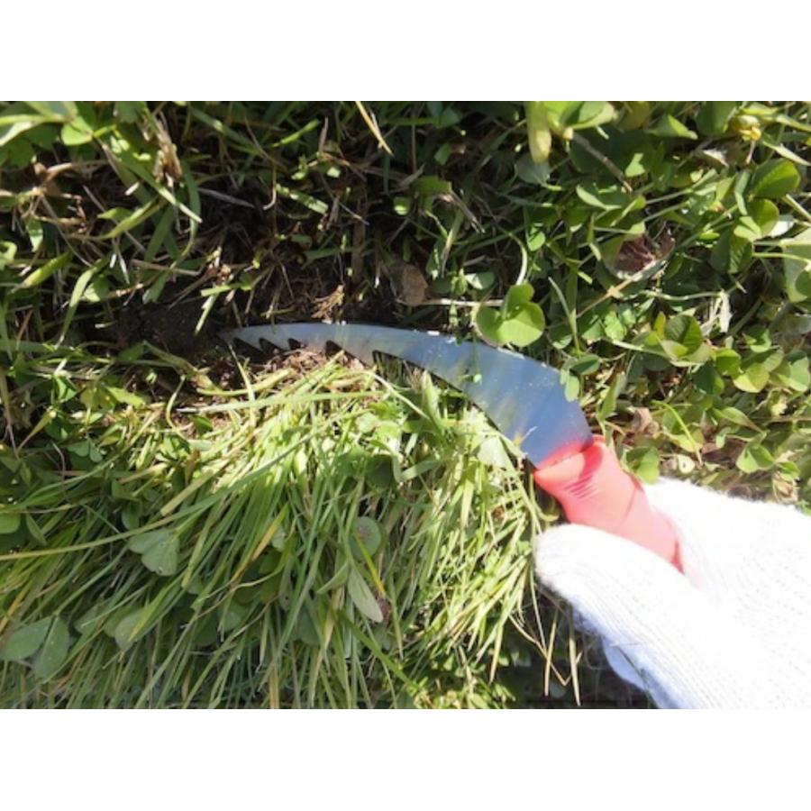 大進 フィットグリップ 雑草取り 草むしり 道具 除草 草抜 片手用 園芸 ガーデニング 農業 女性 庭 農作業 家庭菜園 用具 工具 | DAISHIN | 02