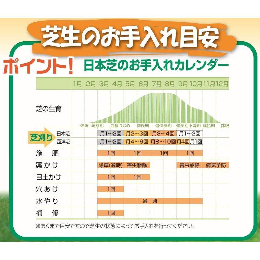 芝刈り機 手動 小型 芝刈機 芝生 家庭用 コンパクト 自動調整刃 刈込幅 芝 しば 手動式 軽量 雑草 コードレス 手押し リール式 道具 ハンディ 庭 大進 DGM-H200R｜comcon｜04