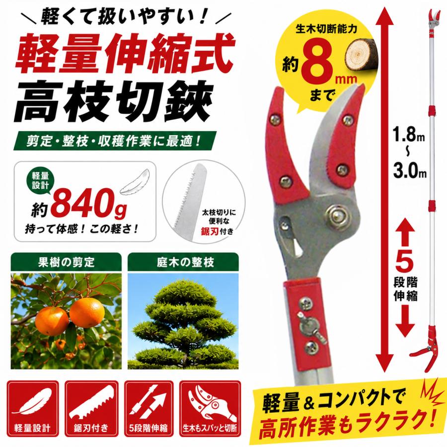 高枝切りバサミ 3m 剪定鋏 剪定ばさみ 枝切りはさみ 高枝切狭 高枝り切鋏 枝きりばさみ 高枝切り  高枝切り のこぎり 柿 カキ たかえだきりばさみ 大進 | DAISHIN | 01