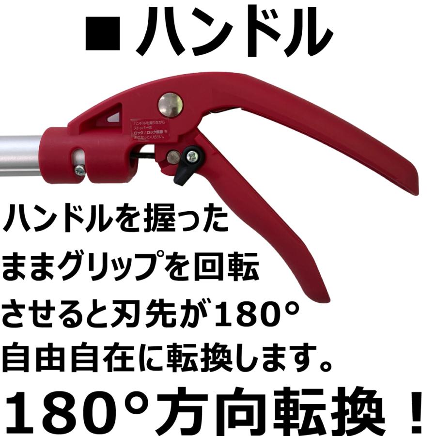 高枝切りバサミ 3m 剪定鋏 剪定ばさみ 枝切りはさみ 高枝切狭 高枝り切鋏 枝きりばさみ 高枝切り  高枝切り のこぎり 柿 カキ たかえだきりばさみ 大進｜comcon｜07