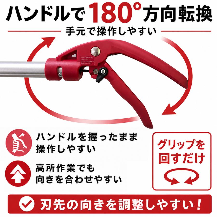 高枝切りバサミ 3m 剪定鋏 剪定ばさみ 枝切りはさみ 高枝切狭 高枝り切鋏 枝きりばさみ 高枝切り  高枝切り のこぎり 柿 カキ たかえだきりばさみ 大進 | DAISHIN | 06