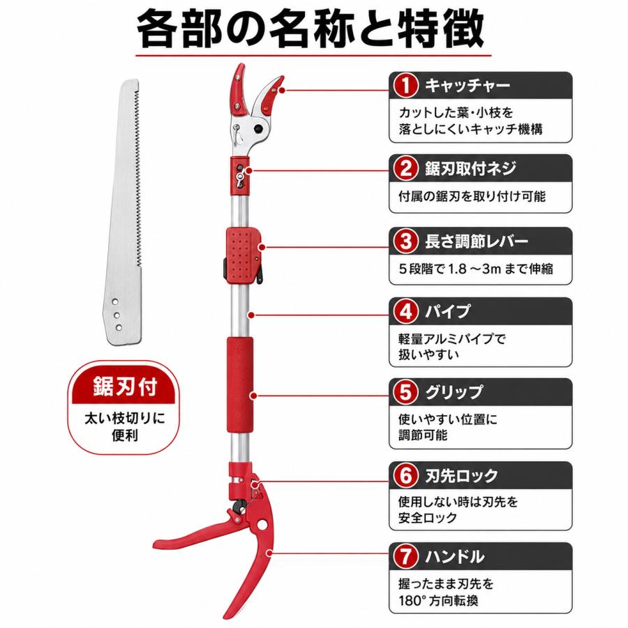 高枝切りバサミ 3m 剪定鋏 剪定ばさみ 枝切りはさみ 高枝切狭 高枝り切鋏 枝きりばさみ 高枝切り  高枝切り のこぎり 柿 カキ たかえだきりばさみ 大進 | DAISHIN | 07