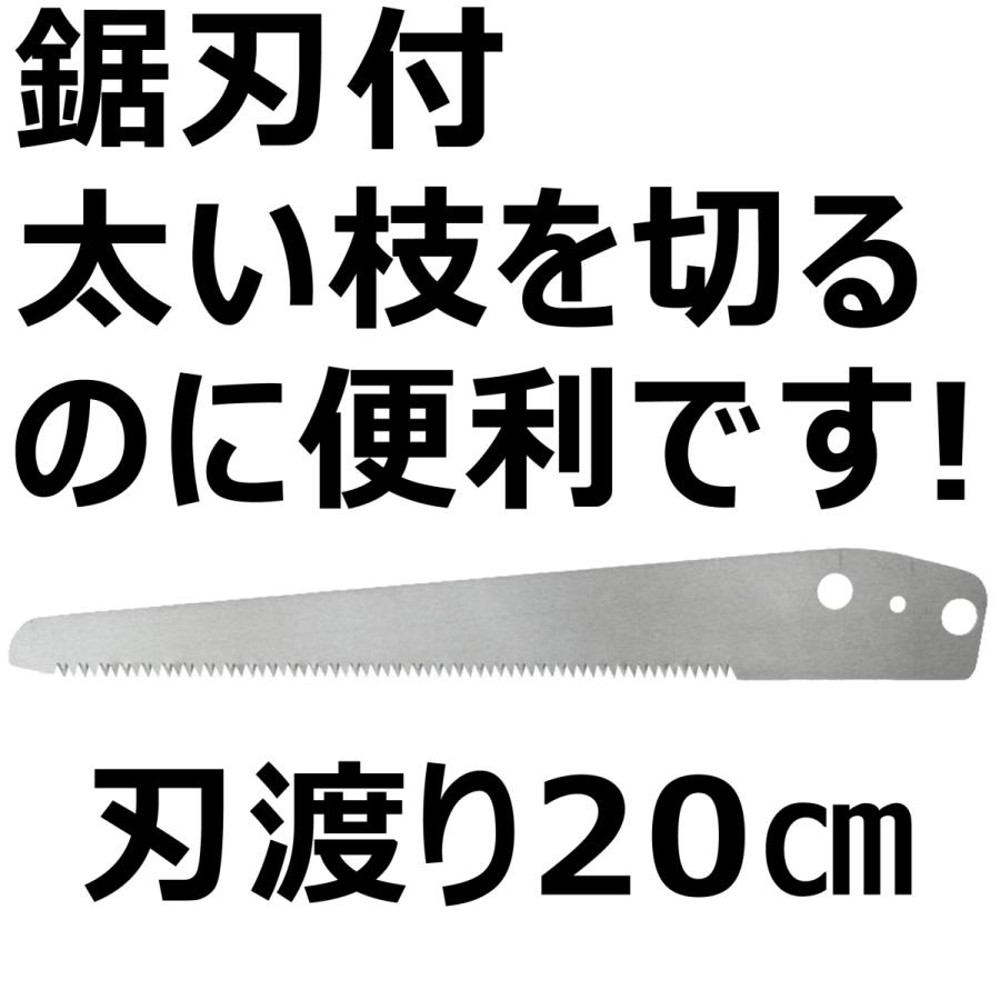 DAISHIN（大進） 高枝切りバサミ 3m 大進軽量高枝切り鋏 長刃高枝切り