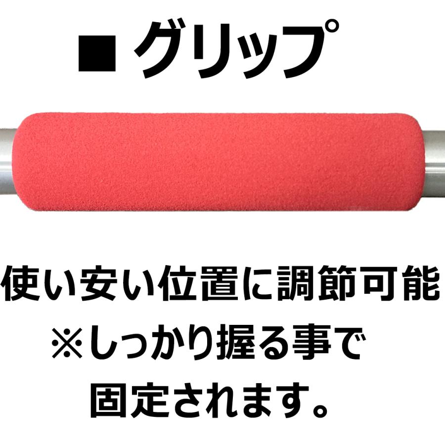DAISHIN（大進） 高枝切りバサミ 3m 大進軽量高枝切り鋏 長刃高枝切り