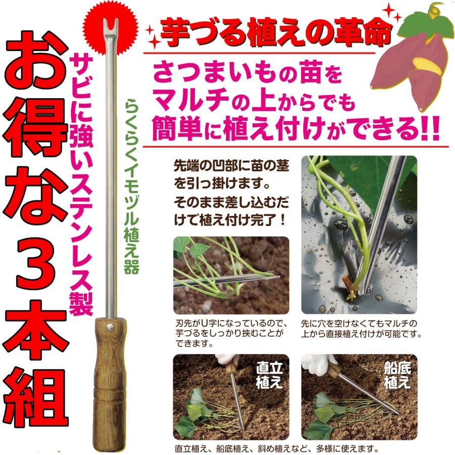 DAISHIN（大進） らくらくイモヅル植え器 お得な3本組 ステンレス 芋