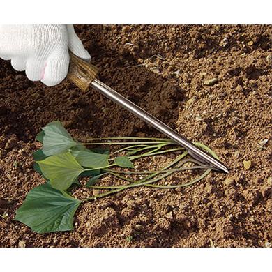 DAISHIN（大進） らくらくイモヅル植え器 お得な3本組 ステンレス 芋