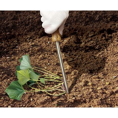 DAISHIN（大進） らくらくイモヅル植え器 お得な3本組 ステンレス 芋